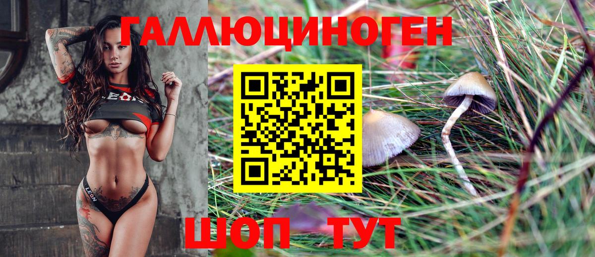 Псилоцибиновые грибы мицелий Сызрань